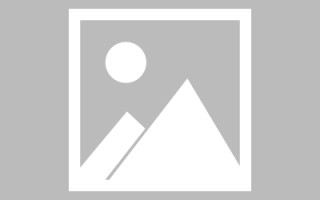 贺州论文网站建设（网站建设的论文）